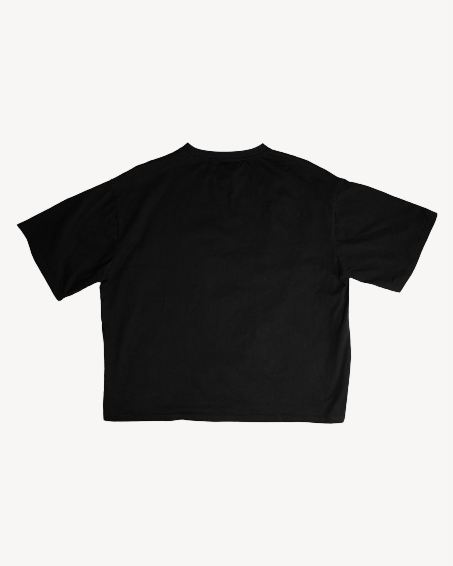 AL01 - Oversized Tee